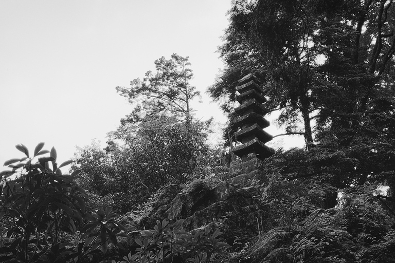 Nara: Muro-ji Temple – Serenity, Tradition and Sacred Beauty