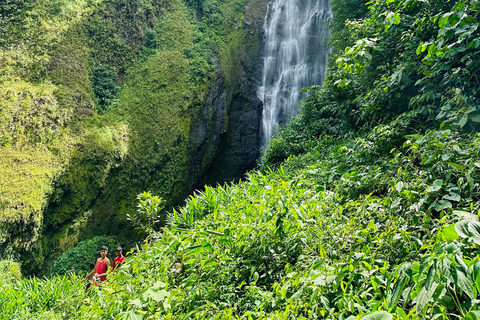 Tour de 1 día a Bajos del Toro, Alajuela, Costa Rica