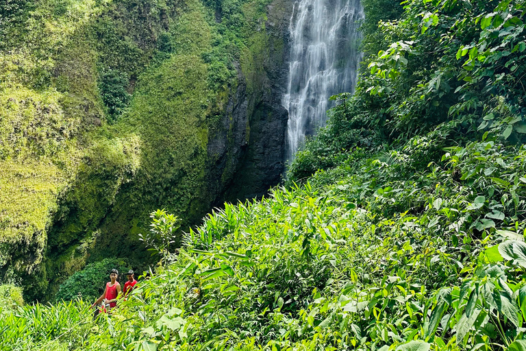 Tour de 1 día a Bajos del Toro, Alajuela, Costa Rica