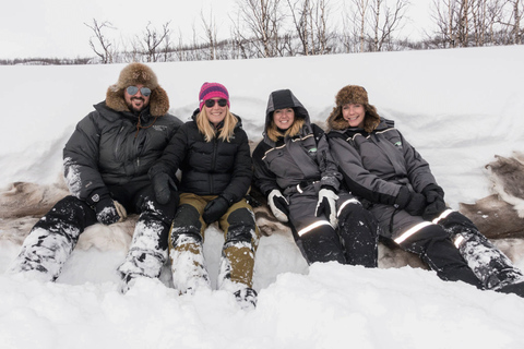 Abisko: Caminhada com raquetes de neve na natureza selvagem