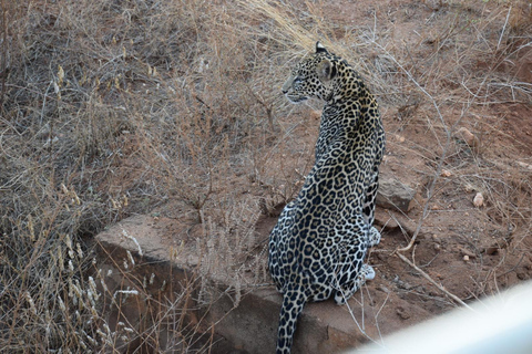 Explore Kenya: Samburu, Masai Mara & Amboseli in 9 Days Tour