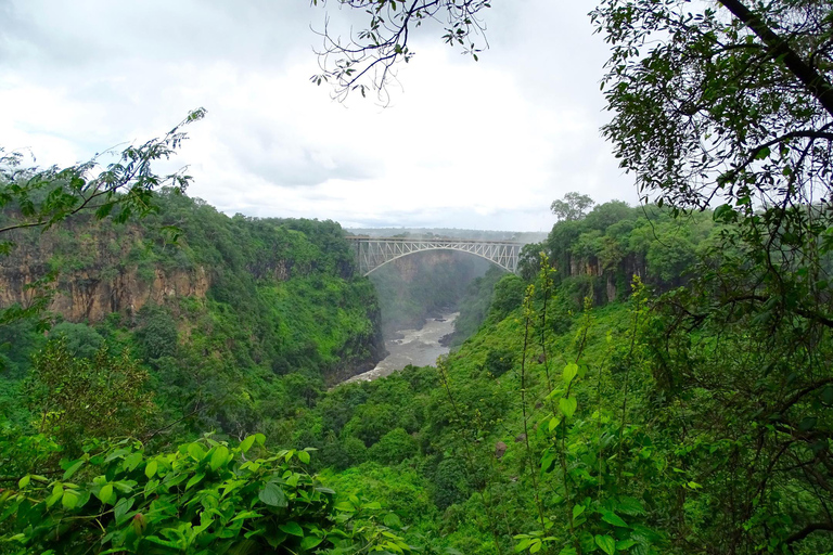 From Victoria Falls: Botswana & Zambia Day Trip with Safari