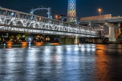 Tokio: Individuell gestaltbare, luxuriöse Private Städtetour mit Guide
