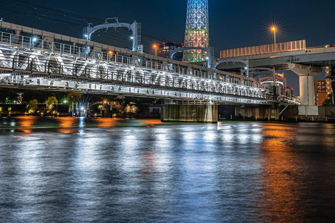 Tokyo Luxury Private City Tour Customizable with Guide