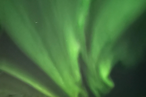 Tromsø: Northern Lights Tour