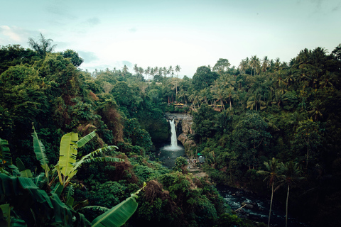 Manaus: 3-Day Amazon Jungle Adventure with Camping