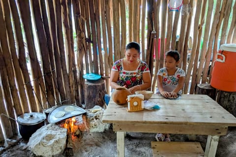 Coba Ruins and Authentic Mayan Cooking Class - Private tour