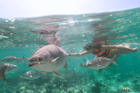 Cancun: Mayan Jungle Tour with Speedboat & Snacks Cancun: Mayan Jungle Tour with Speedboat & Snack w/ Transfer