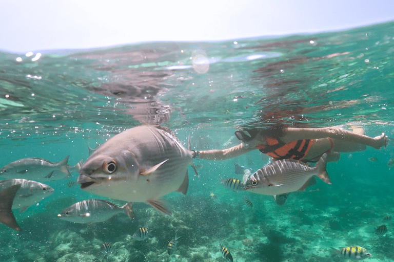 Cancun: Mayan Jungle Tour with Speedboat & Snacks Cancun: Mayan Jungle Tour with Speedboat & Snack w/ Transfer