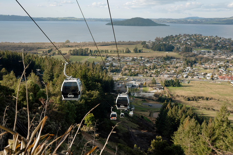 From Auckland: Rotorua Day Trip with Te Puia & Luge Rides
