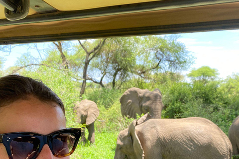 Lake Manyara: 3-daagse safari