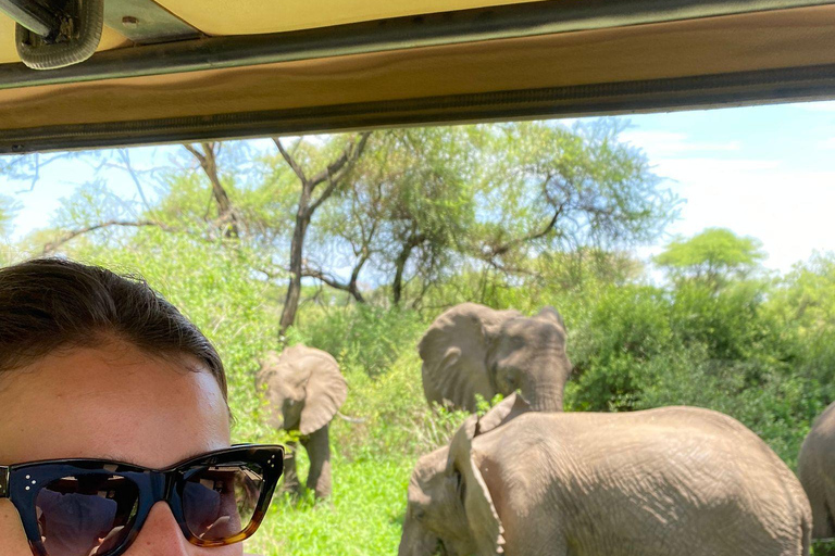 Lake Manyara: 3-daagse safari