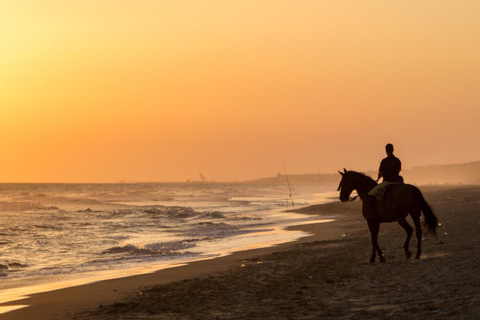 Essaouira: 1.5-Hour Horse Ride & Swim Experience with Photos