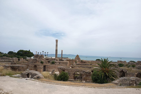 One day tour from Cruise Ship - Port La Goulette