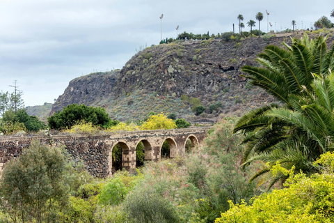 Visite du nord de la Grande Canarie et du jardin botanique