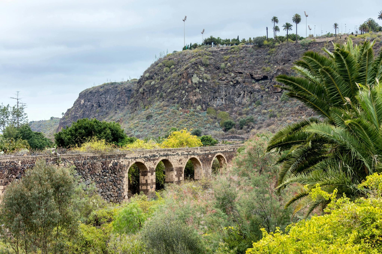 Visite du nord de la Grande Canarie et du jardin botanique