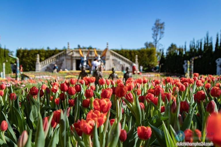 Danang: Golden Bridge - Ba Na Hills - Small Group Full day - Buffet