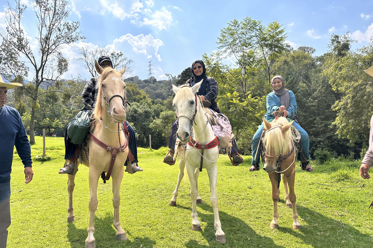 LA MEILLEURE ÉQUITATION AVEC DES COW-BOYS PROFESSIONNELS