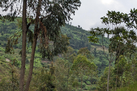 Kigali: Full-day cycling tour with picnic lunch