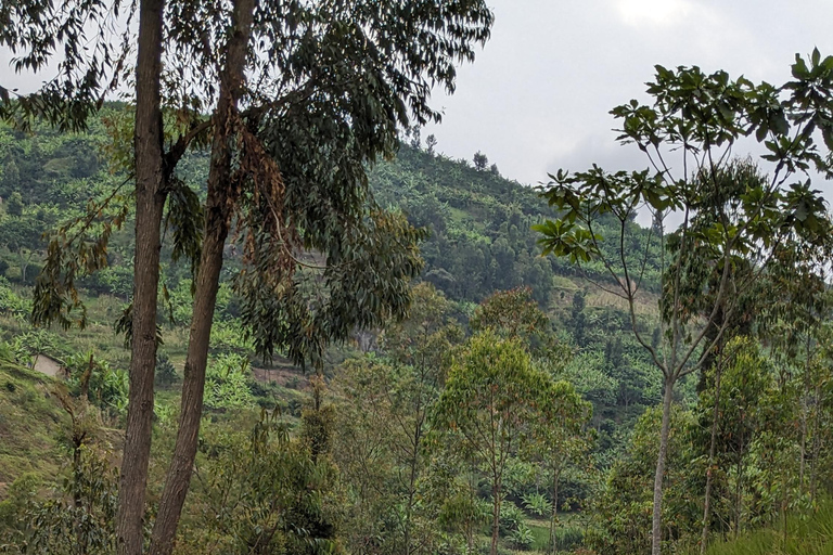 Kigali: Full-day cycling tour with picnic lunch