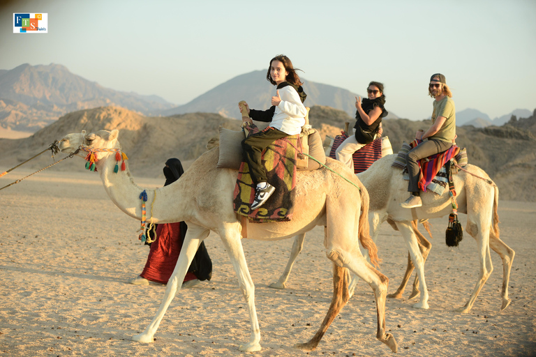 Sharm El Sheij: Safari por el desierto con quad y observación de las estrellas