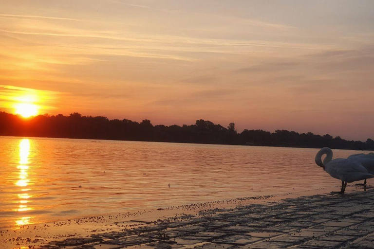 Belgrade: Yugoslav Legacy River Cruise with Guide