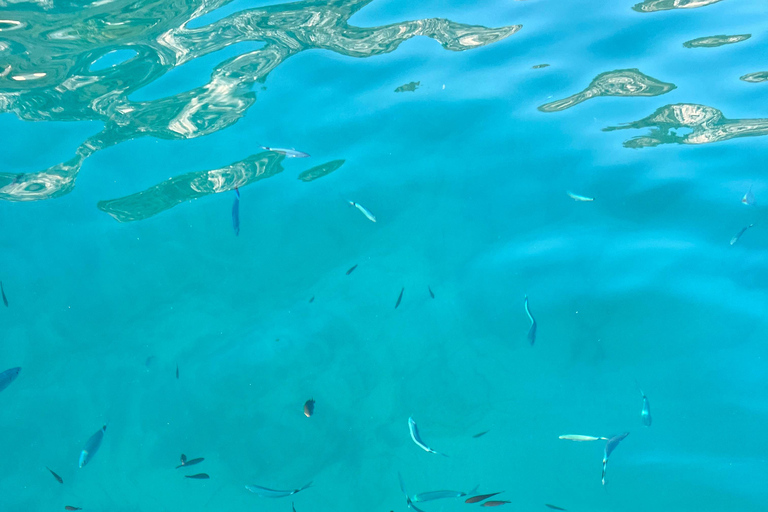 Excursion inoubliable en bateau