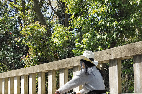 Kioto:Recorrido en Bicicleta por los Tres Jardines