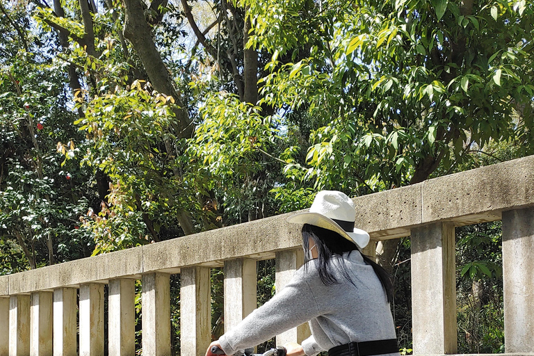 Kioto:Recorrido en Bicicleta por los Tres Jardines