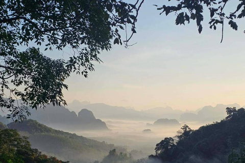 From Khao Lak: Bamboo Rafting & Jungle Trekking in Khao Sok Bamboo Rafting and Ethical Elephant Experience