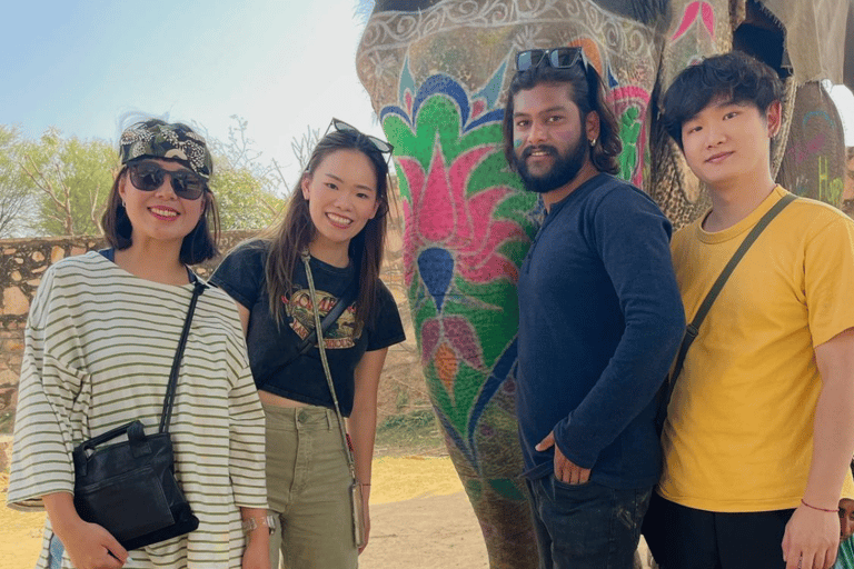 Jaipur : Tour panoramico privato di un giorno intero in Tuk-Tuk