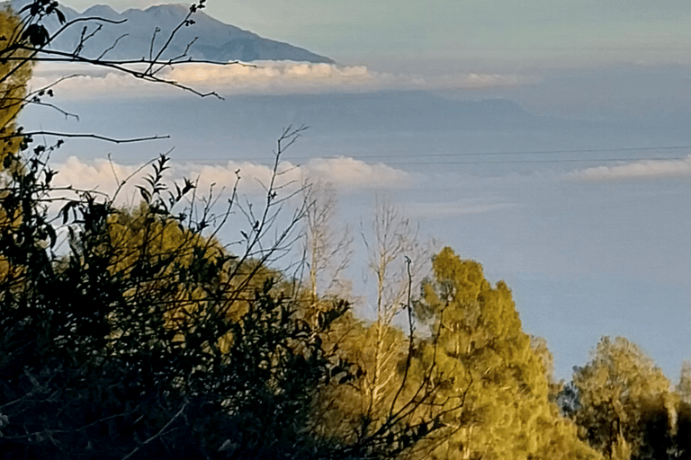 Yogyakarta: Temple to Crater Overland to Bromo SHARED Tour Finish Bromo - No Ticket