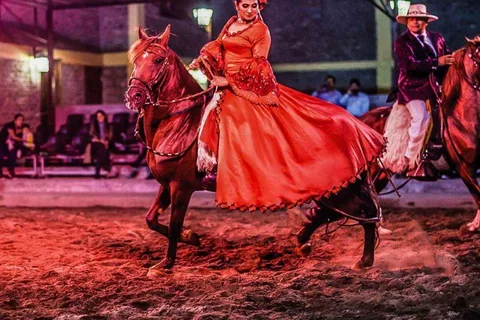 Lima: Almoço buffet, espetáculo de dança de cavalos de paso peruanos.