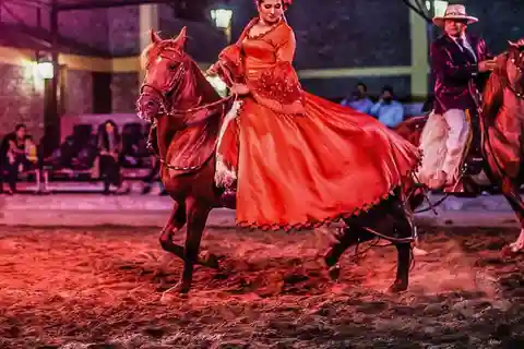 Lima: pranzo a buffet, spettacolo di danza peruviana Paso Horses.
