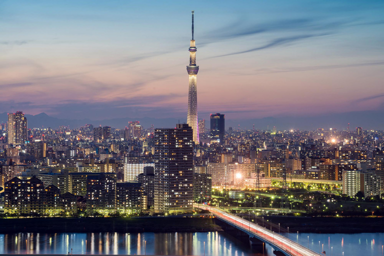 Tokio: tour privado personalizable de 2 días con traslado al hotelTour por la ciudad de Tokio y el Monte Fuji: Conductor y Guía