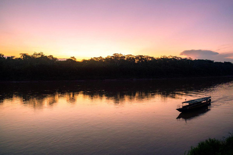 Puerto Maldonado: Collpa Chuncho 2-Day Jungle Tour