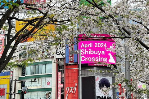 Stadsrondleiding door Tokio met Engelssprekende chauffeur.