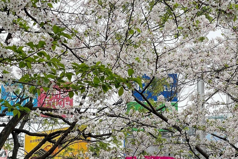 Tour della città di Tokyo con autista parlante inglese.