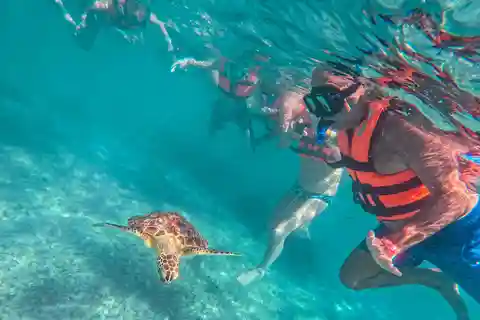 Cancún: ruïnes van Tulum, schildpadden van Akumal, cenote en grotten snorkelen