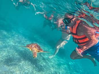 Cancún: ruïnes van Tulum, schildpadden van Akumal, cenote en grotten snorkelen