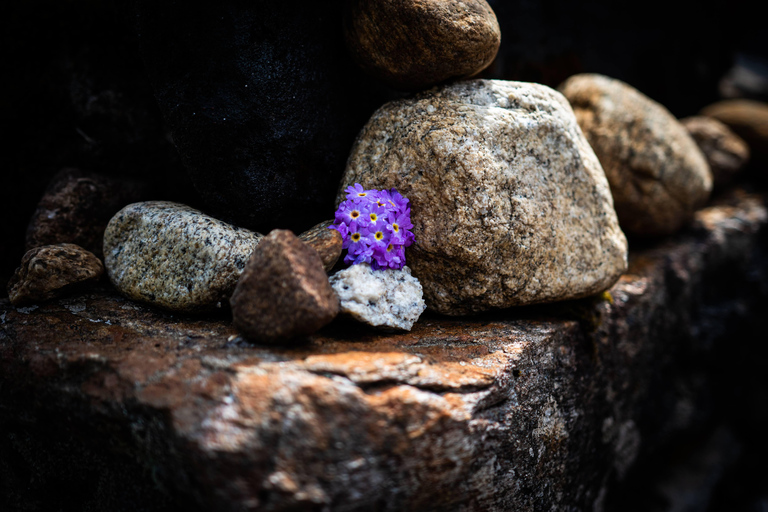 Nepal: Everest Base Camp Trek with Guide and Porter