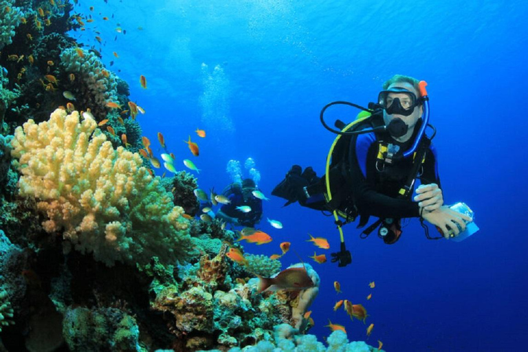 Jakarta: Dagtrip duiken bij Thousand Islands Marine Park