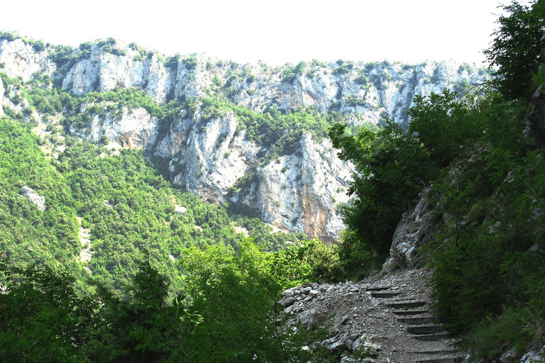 Desde Tirana/Durres/Golem: Cueva de Pellumbas y tirolinaCueva de Pellumbas, Castillo de Petrela y experimenta la tirolina