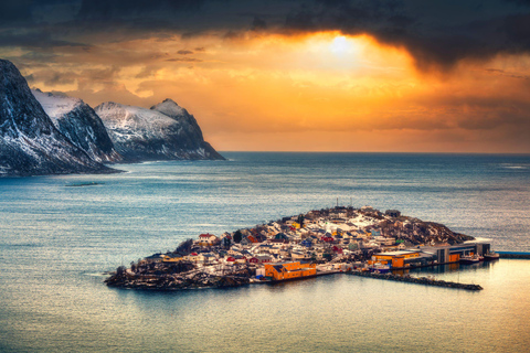 特罗姆瑟：正宗塞尼亚岛一日旅行（含午餐）