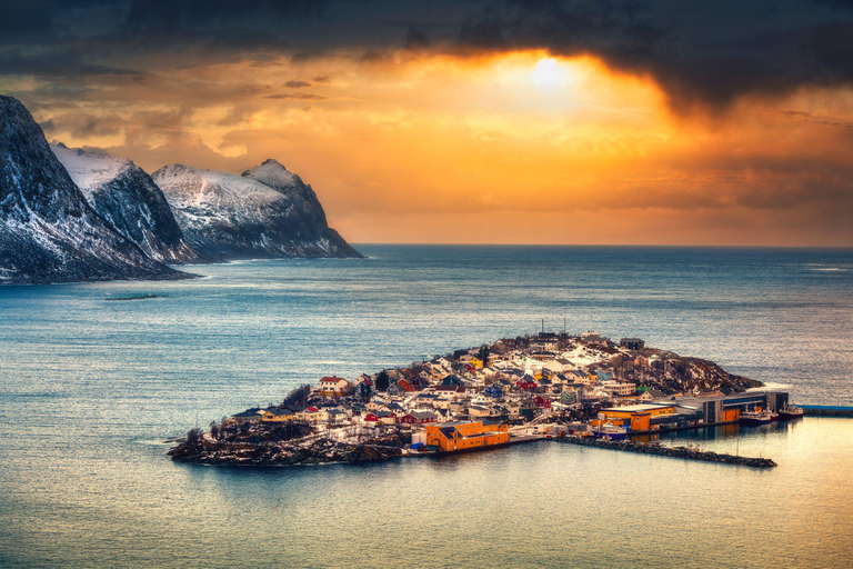 特罗姆瑟：正宗塞尼亚岛一日旅行（含午餐）