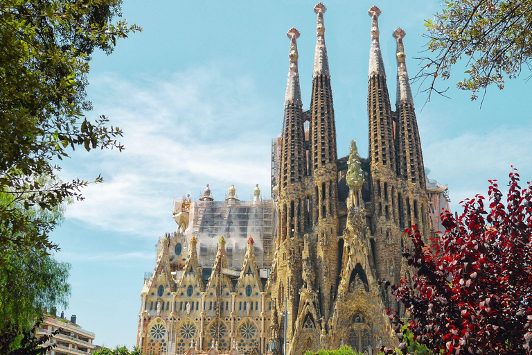 Barcelona: Sagrada Familia Guided Tour Sagrada Familia Standard Group Tour in English