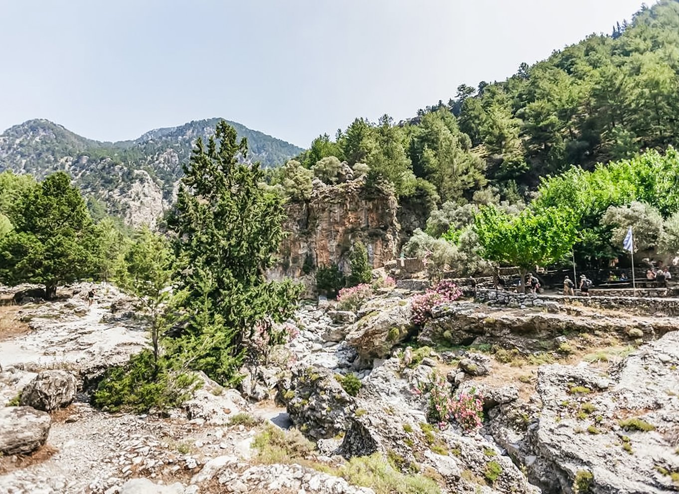 Fra Chania: Heldagsudflugt i Samaria-kløften med guide