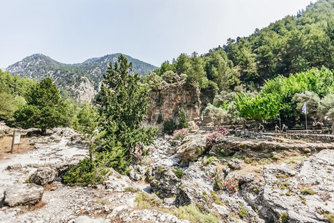 De Chania: Caminhada de 1 Dia à Garganta de SamariáDe Kalyves ou Almyrida