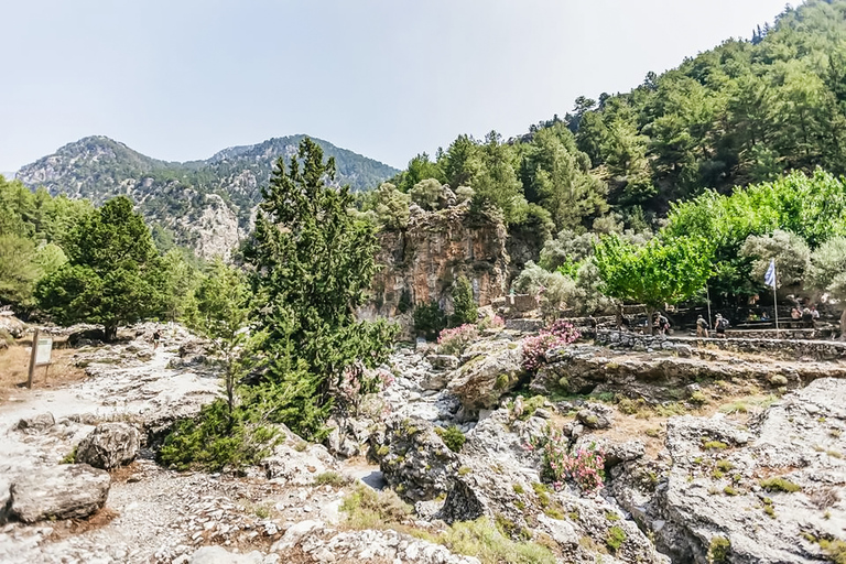 Gole di Samariá: escursione di un giorno con trekking da La CaneaDa Kalyves o Almyrida