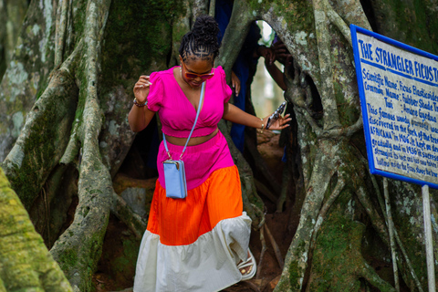 Accra: Giardino Botanico di Aburi, Fattoria del Cacao e Cascata ...